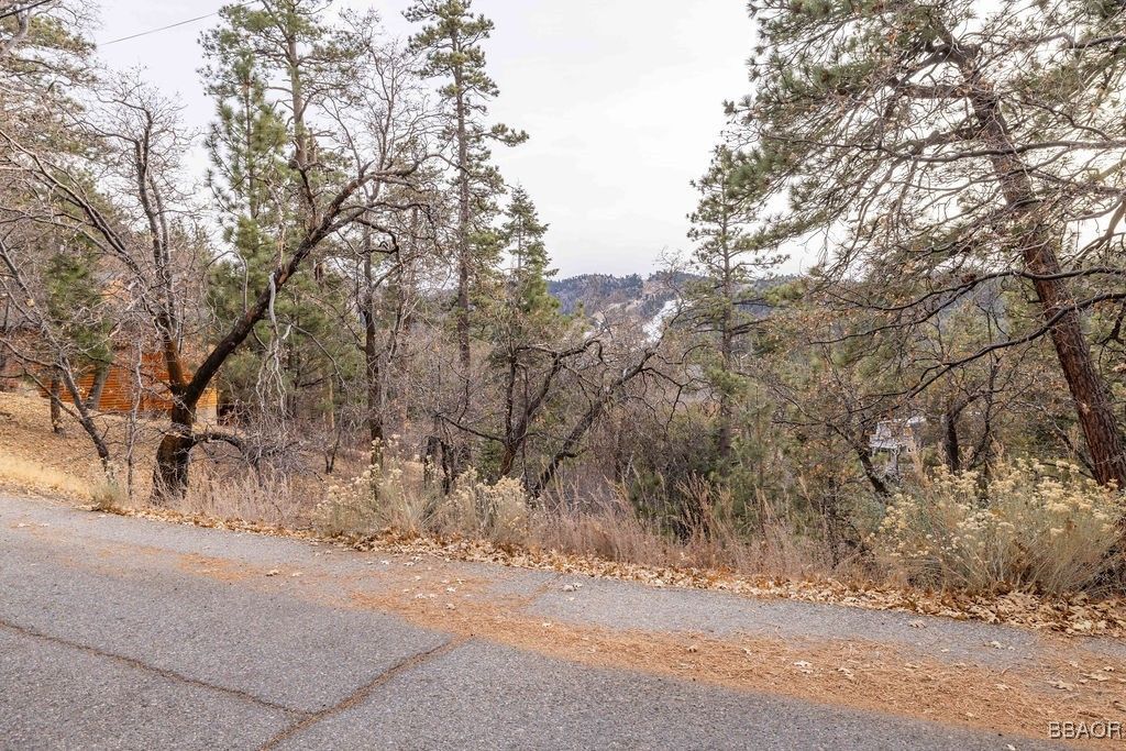 Photo of 724 Menlo Drive, Big Bear Lake, CA 92315 (MLS # 32406158)