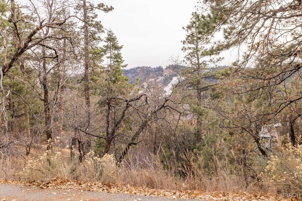 Photo of 724 Menlo Drive, Big Bear Lake, CA 92315 (MLS # 32406158)