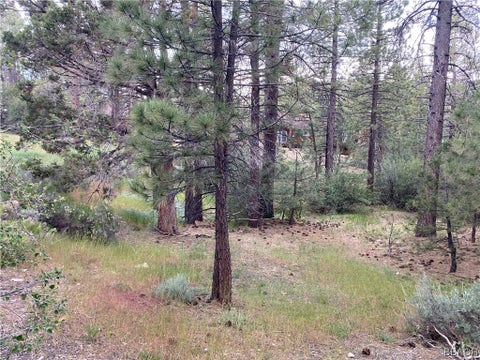 Featured picture for the property 32300812