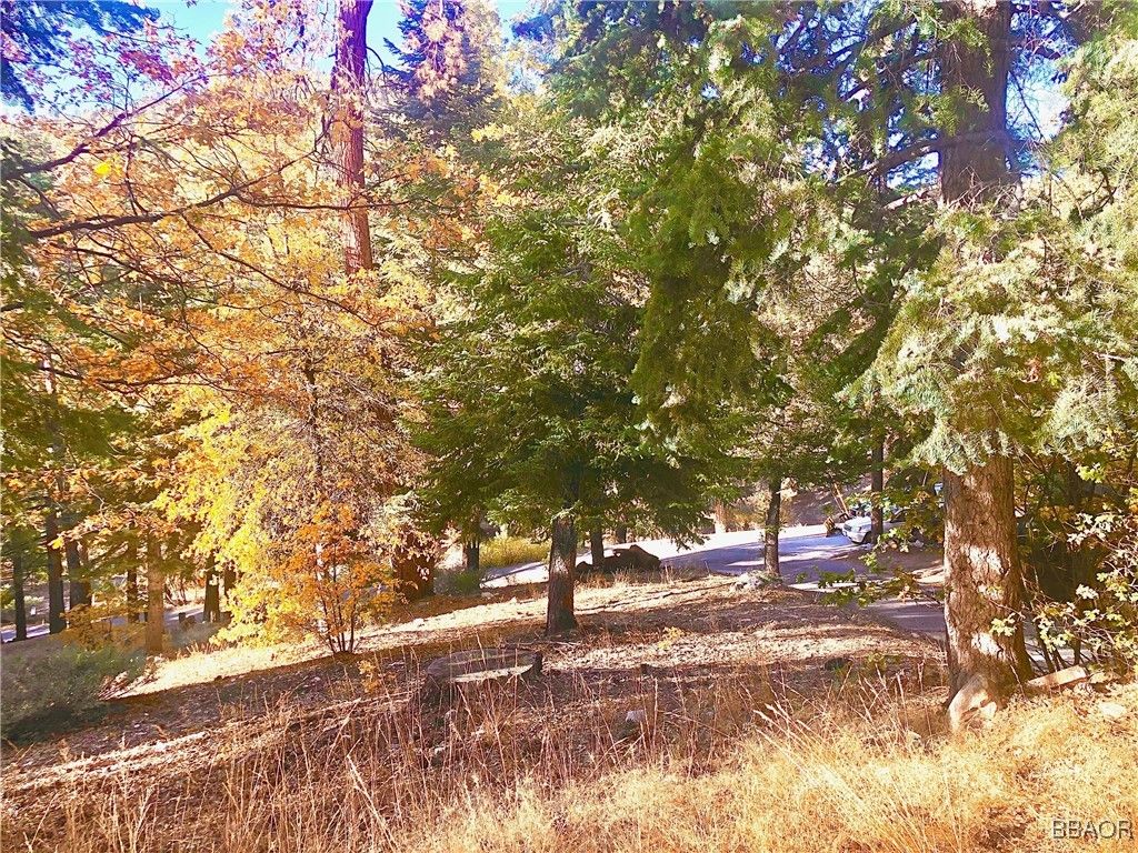 Photo of 0 Raccoon Drive, Fawnskin, CA 92333 (MLS # 32501518)