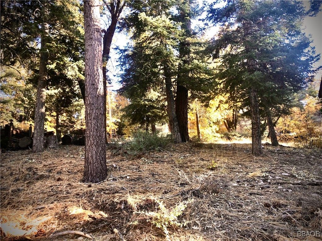 Photo of 0 Raccoon Drive, Fawnskin, CA 92333 (MLS # 32501518)