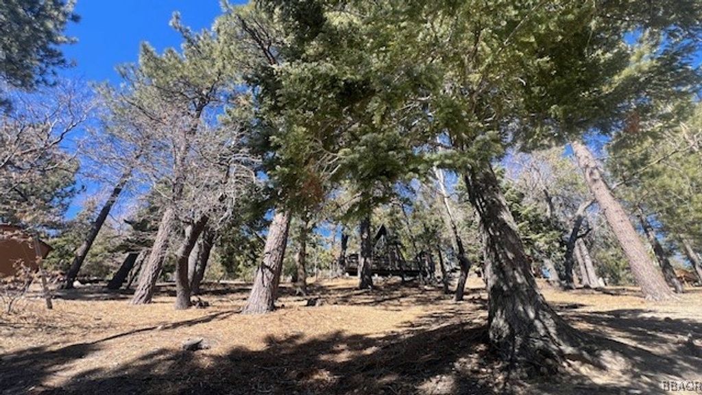 Photo of 33112 Juniper Lane, Green Valley Lake, CA 92341 (MLS # 32502122)