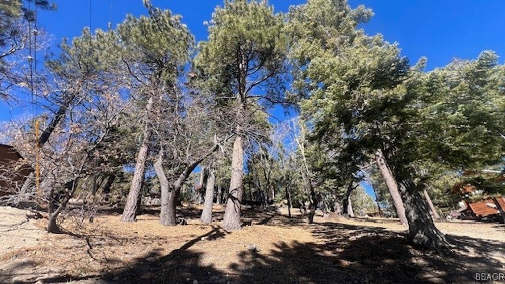Photo of 33112 Juniper Lane, Green Valley Lake, CA 92341 (MLS # 32502122)