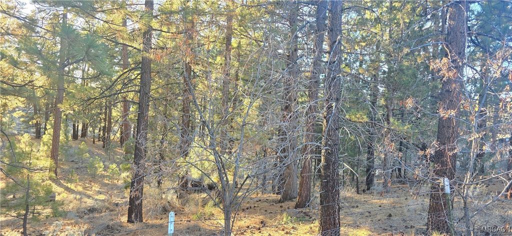 Photo of 146 Olympic Dr., Big Bear Lake, CA 92315 (MLS # 32502807)