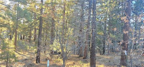 Photo of 146 Olympic Dr., Big Bear Lake, CA 92315 (MLS # 32502807)