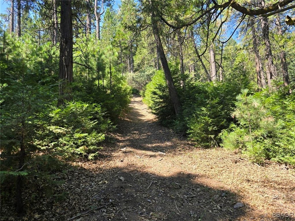 Photo of 0 Lovers Lane, Cedarpines Park, CA 92322 (MLS # 32502072)