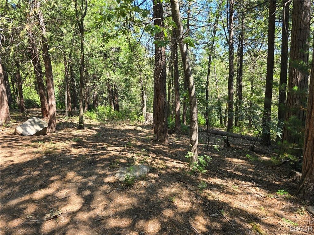 Photo of 0 Lovers Lane, Cedarpines Park, CA 92322 (MLS # 32502072)