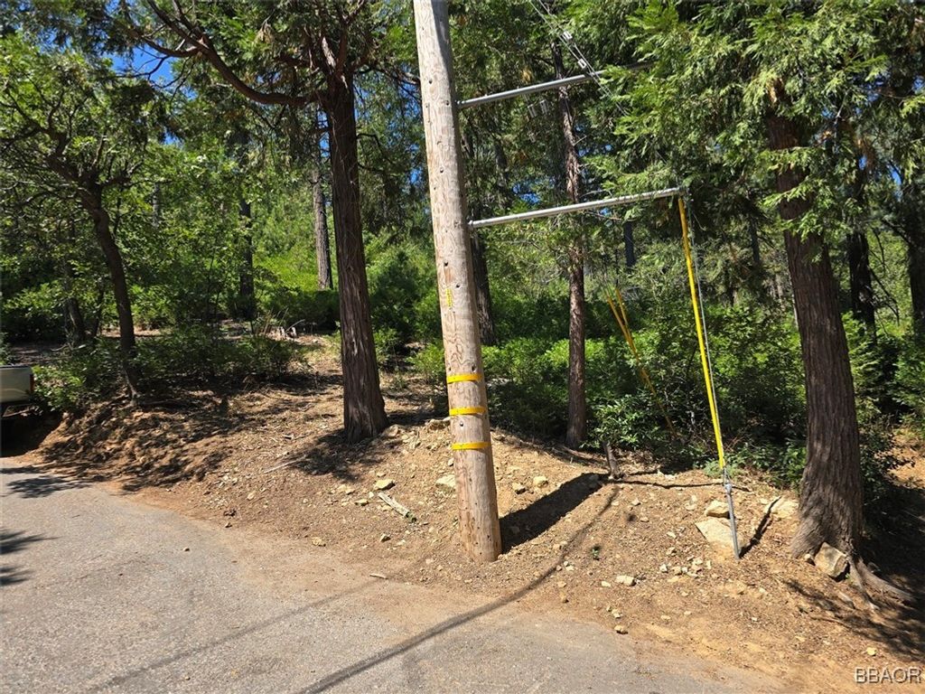 Photo of 0 Lovers Lane, Cedarpines Park, CA 92322 (MLS # 32502072)