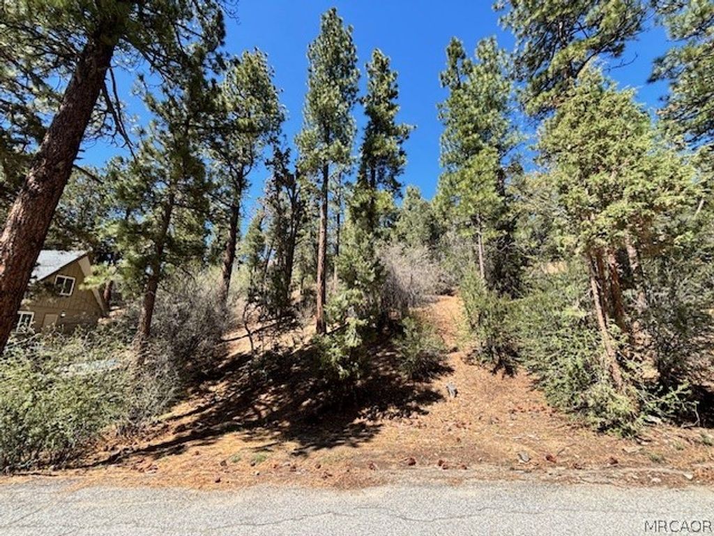 Photo of 0 E Rainbow Boulevard, Big Bear City, CA 92314 (MLS # 32600549)