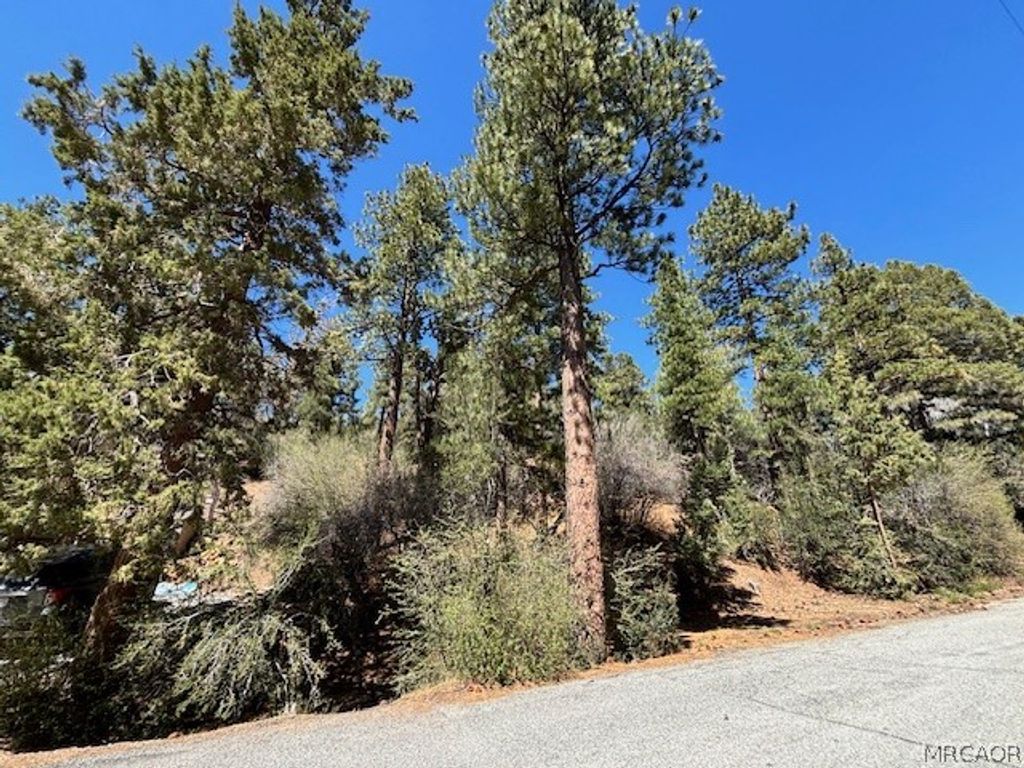 Photo of 0 E Rainbow Boulevard, Big Bear City, CA 92314 (MLS # 32600549)
