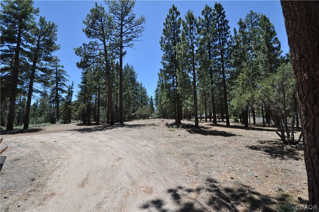 Photo of 0 Mcalister Street, Big Bear City, CA 92315 (MLS # 32405233)