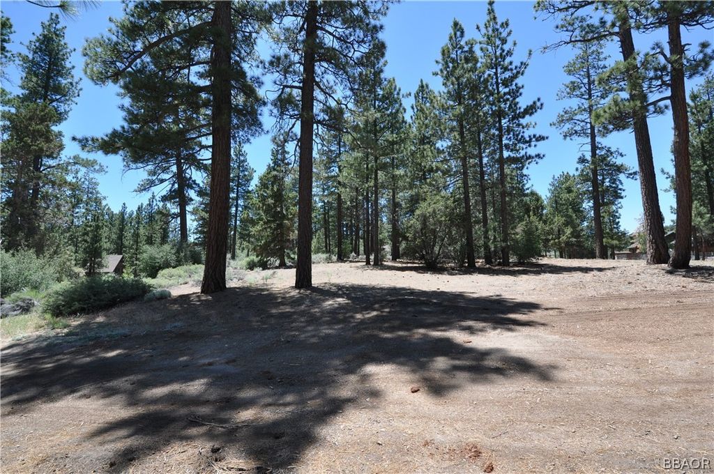 Photo of 0 Mcalister Street, Big Bear City, CA 92315 (MLS # 32405233)