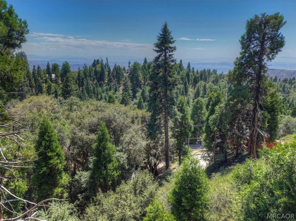 Photo of 31070 Old City Creek Road, Running Springs, CA 92382 (MLS # 32601937)