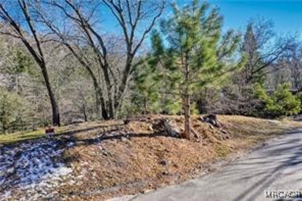 Photo of 0 Deer Way, Lake Arrowhead, CA 92352 (MLS # 32502307)