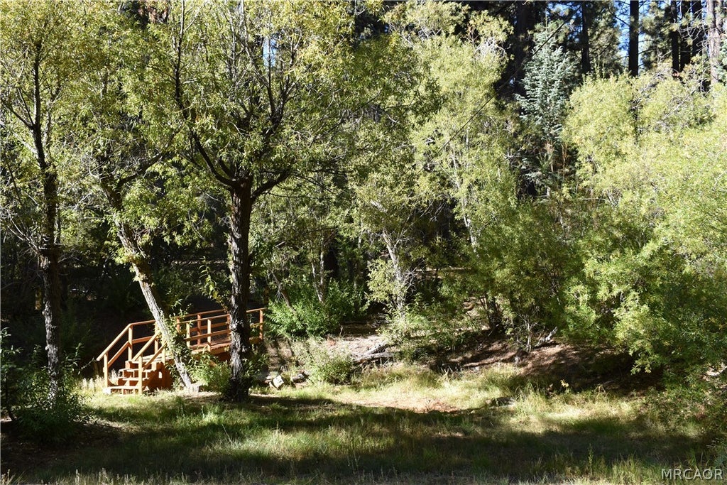 Photo of 33758 Meadow Lane, Green Valley Lake, CA 92341 (MLS # 32602352)
