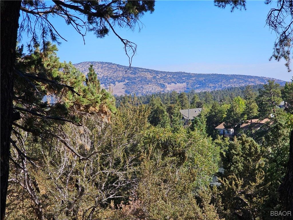 Photo of 1388 Flintridge Avenue, Big Bear City, CA 92314 (MLS # 32405733)
