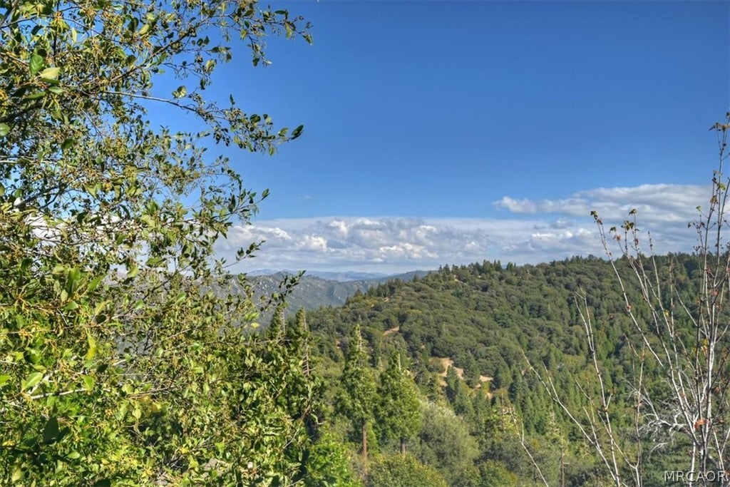 Photo of 729 Minty Pine Drive, Cedarpines Park, CA 92322 (MLS # 32602430)