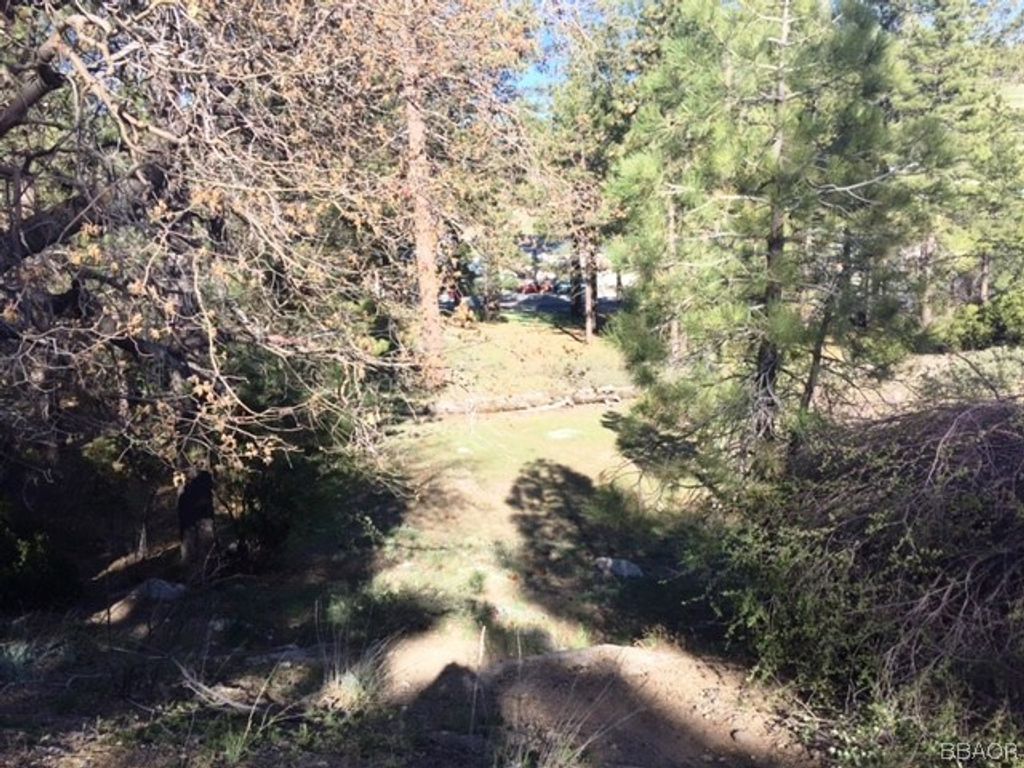 Photo of 0 Talmadge, Big Bear Lake, CA 92315 (MLS # 3171685)