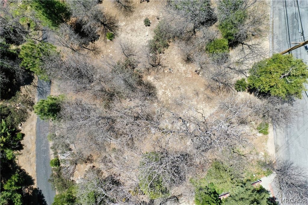 Photo of 0 Old Toll Road, Lake Arrowhead, CA 92352 (MLS # 32601088)