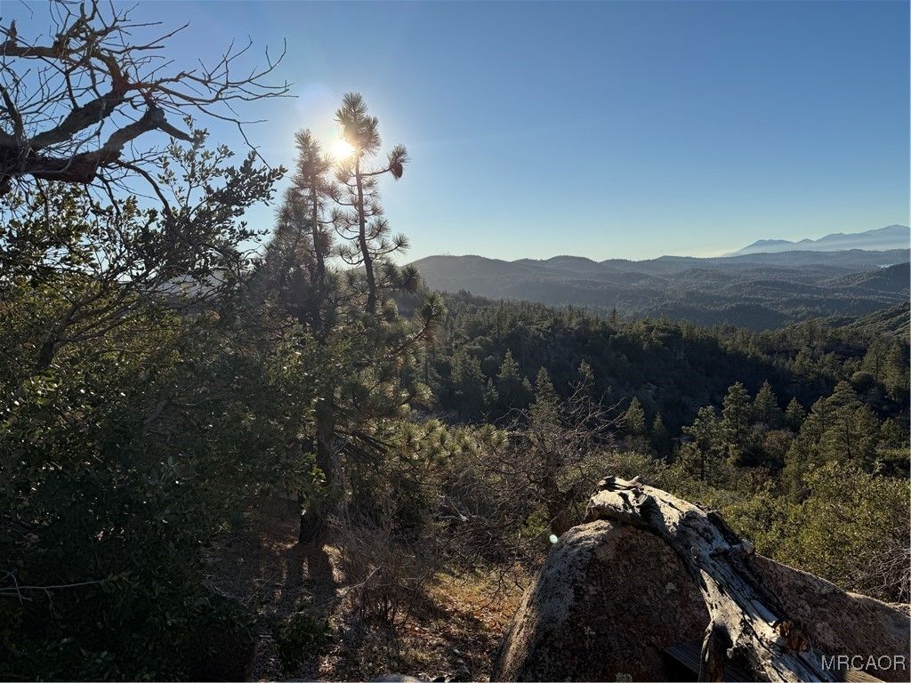 Photo of 346 Bobcat Road, Green Valley Lake, CA 92341 (MLS # 32600013)