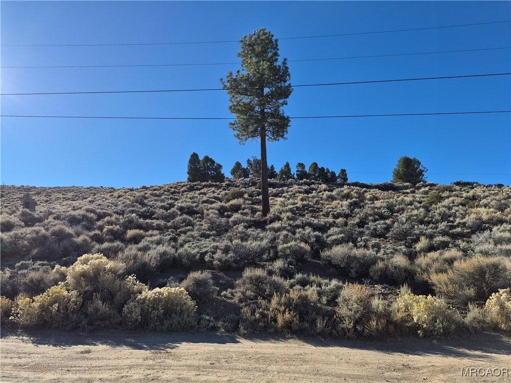 Photo of 0 Rustic Canyon Road, Big Bear City, CA 92314 (MLS # 32502568)