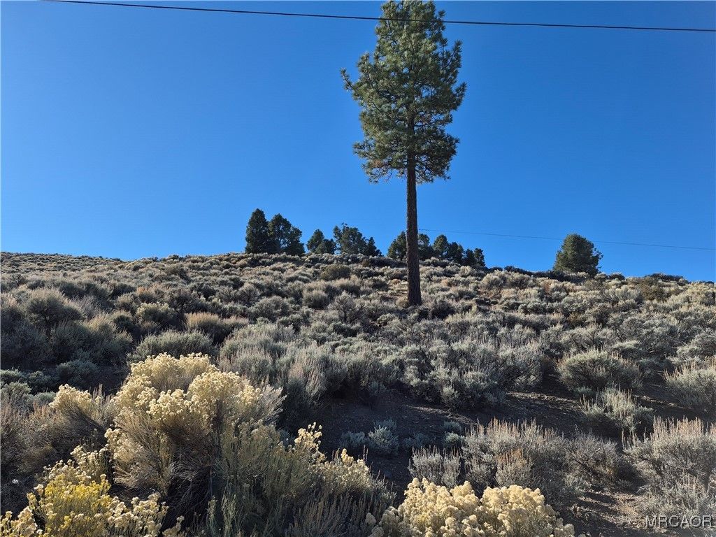 Photo of 0 Rustic Canyon Road, Big Bear City, CA 92314 (MLS # 32502568)
