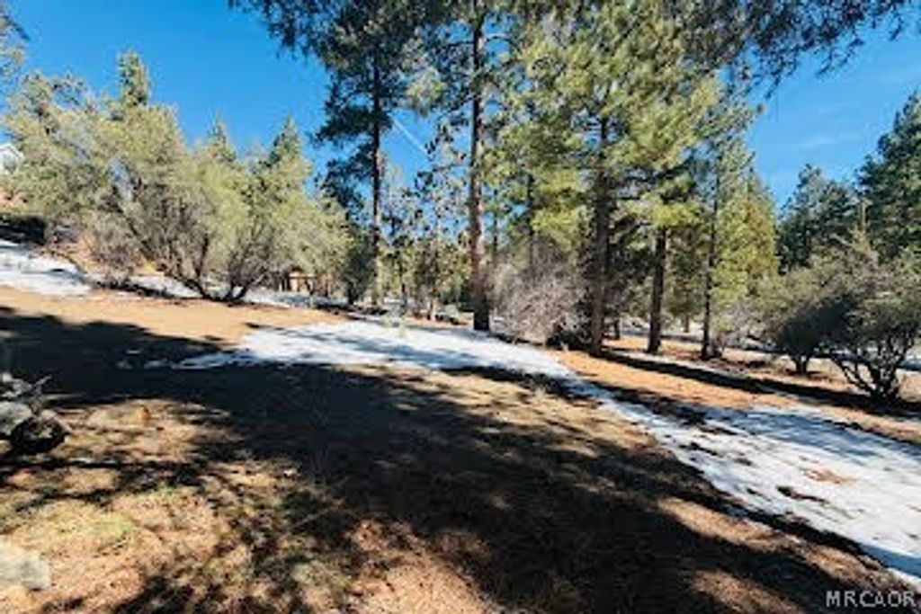 Photo of 808 Antelope Mountain Drive, Big Bear City, CA 92314 (MLS # 32600391)