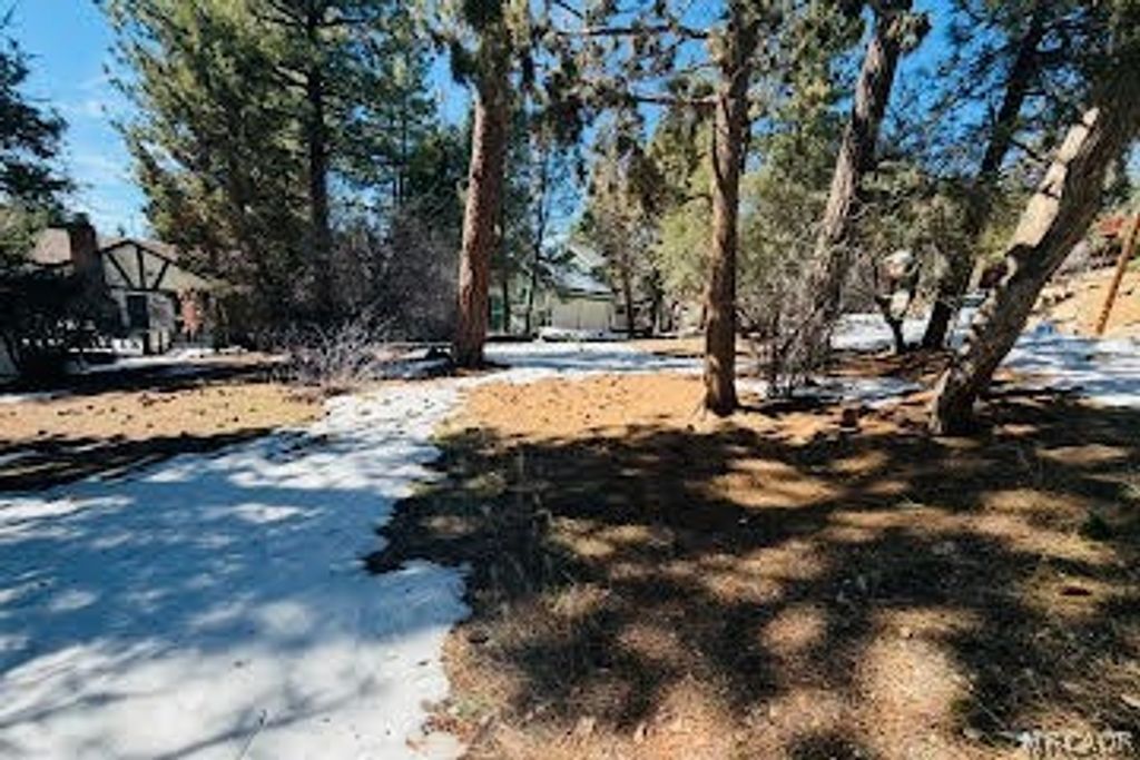 Photo of 808 Antelope Mountain Drive, Big Bear City, CA 92314 (MLS # 32600391)
