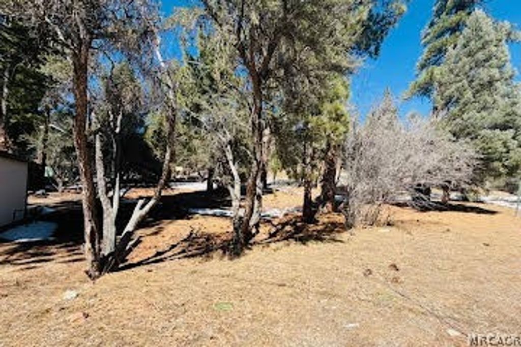 Photo of 808 Antelope Mountain Drive, Big Bear City, CA 92314 (MLS # 32600391)