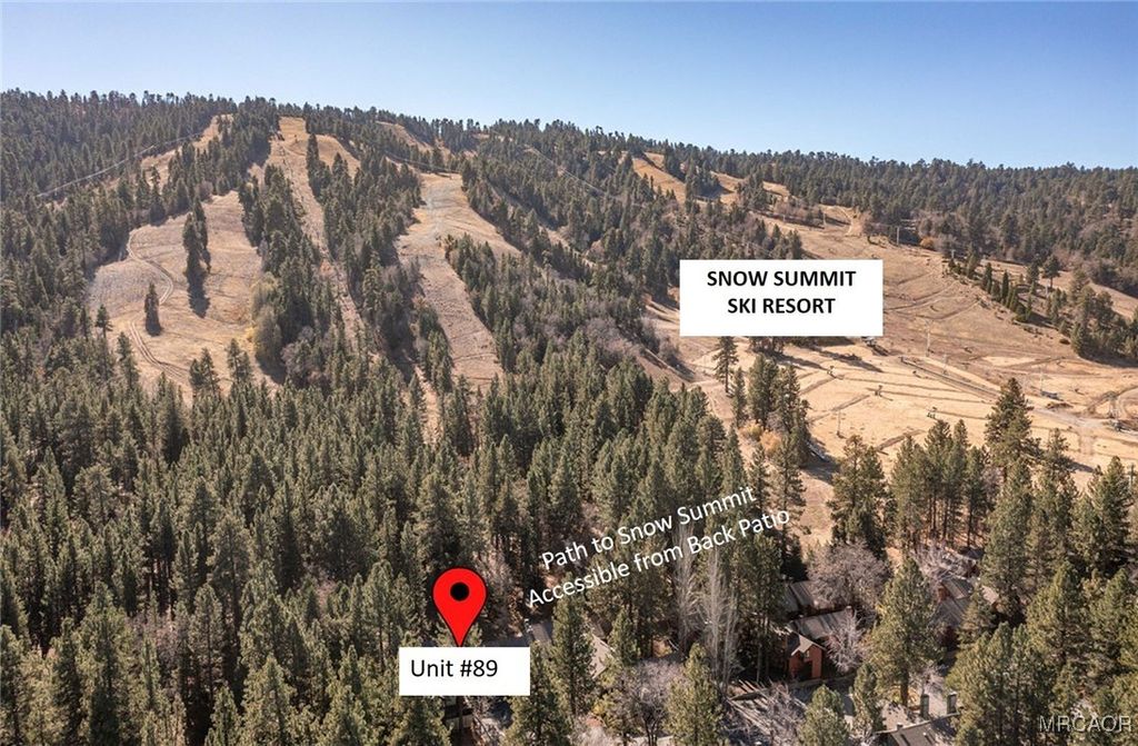 Photo of 41935 Switzerland Drive #89, Big Bear Lake, CA 92315 (MLS # 32502657)