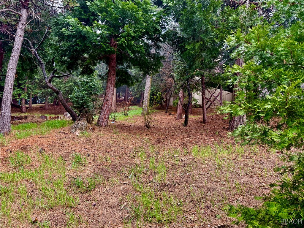 Listing image 8