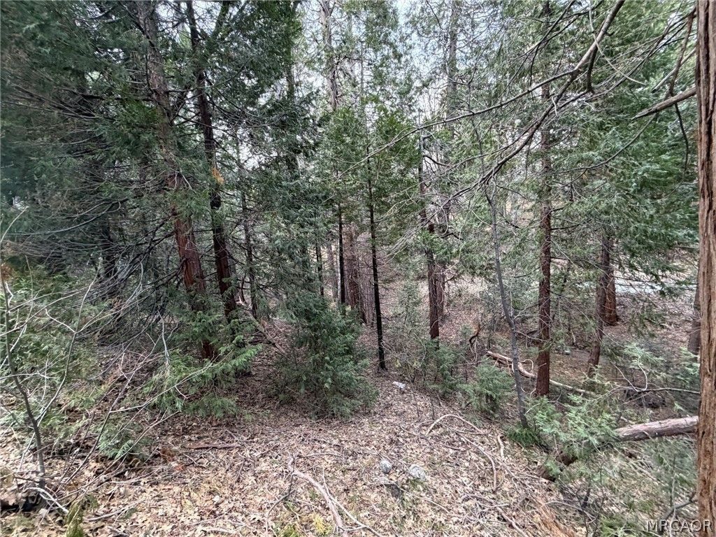 Photo of 0 Hook Creek Rd Road, Cedar Glen, CA 92321 (MLS # 32600437)