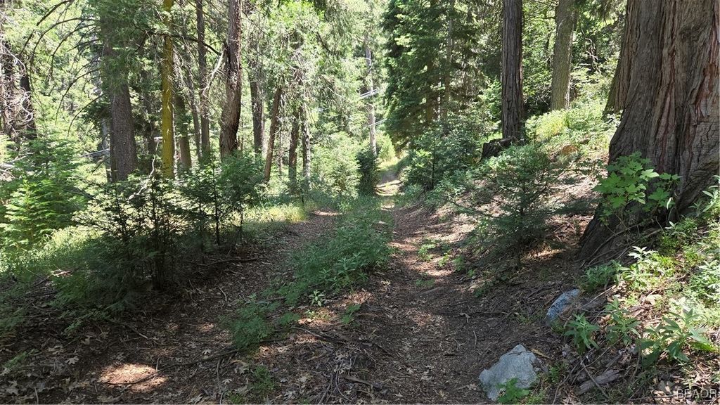Photo of 00987 Deer Run Road, Cedarpines Park, CA 92322 (MLS # 32501730)