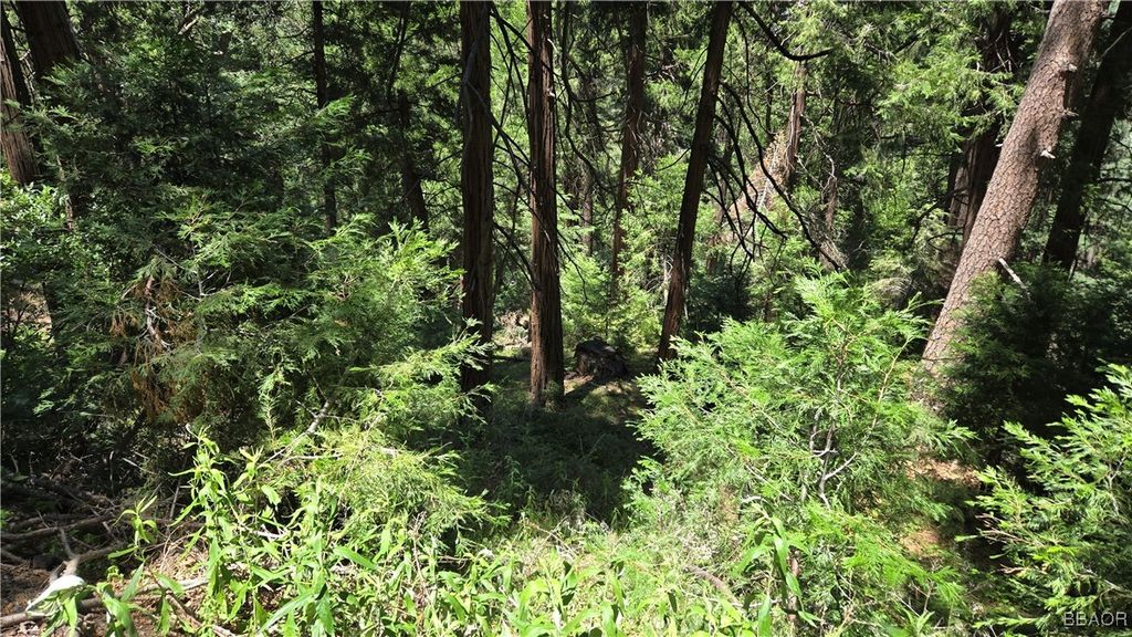 Photo of 00987 Deer Run Road, Cedarpines Park, CA 92322 (MLS # 32501730)