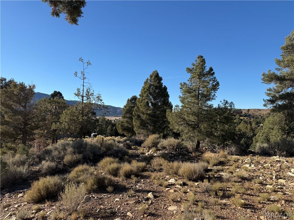 Photo of 46280 Boron Lane, Big Bear City, CA 92314 (MLS # 32602304)
