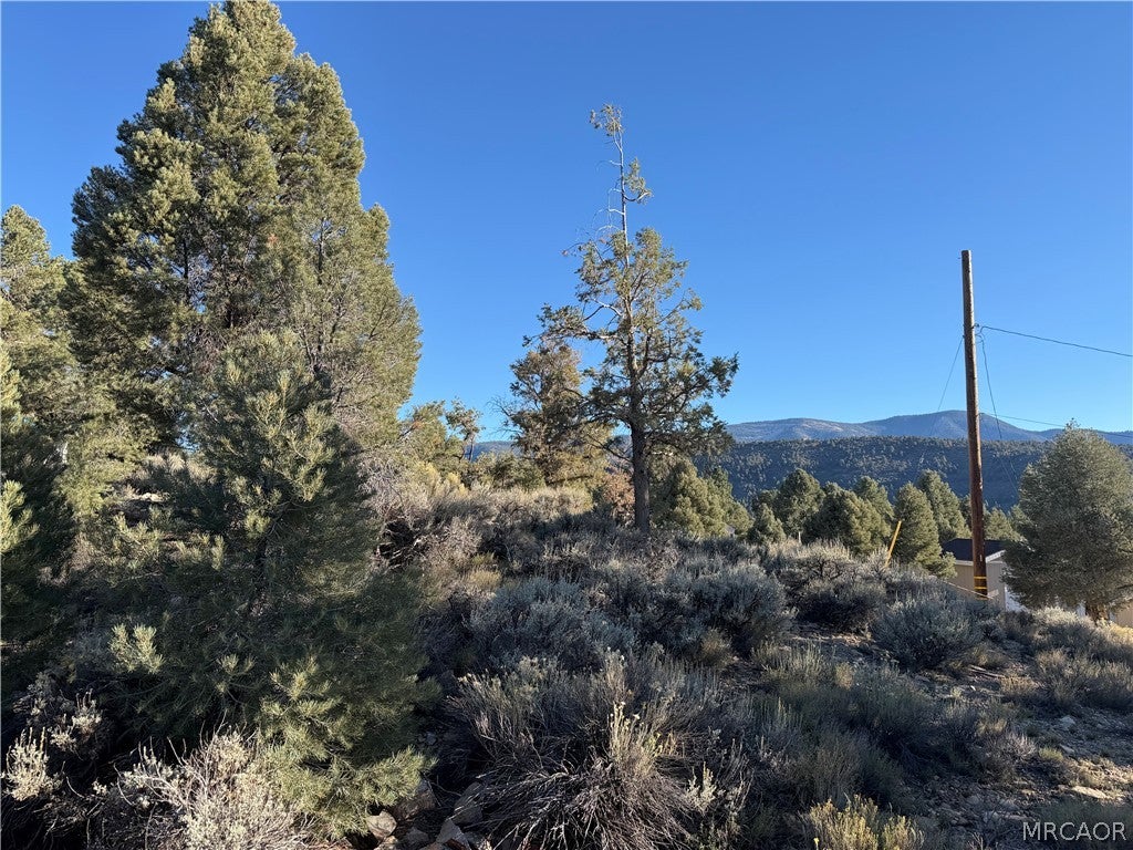 Photo of 46280 Boron Lane, Big Bear City, CA 92314 (MLS # 32602304)