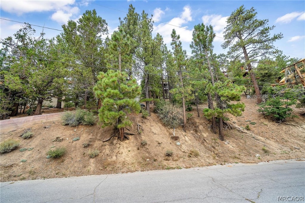 Photo of 865 Menlo Drive, Big Bear Lake, CA 92315 (MLS # 32602063)