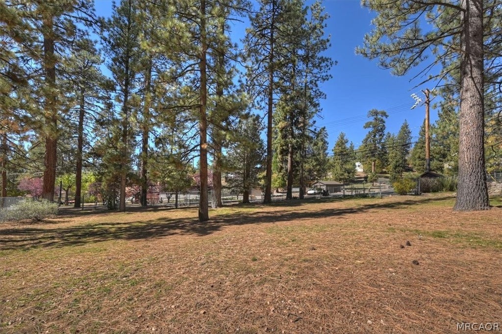 Photo of 1062 Fawnskin Drive, Fawnskin, CA 92333 (MLS # 32602427)