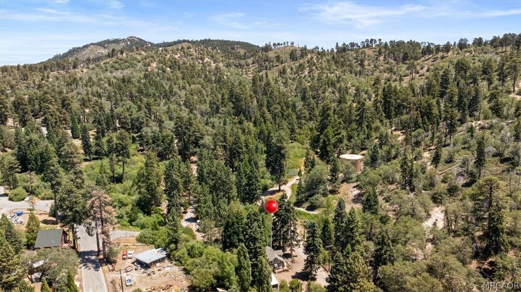 Photo of 33910 Meadow Lane, Green Valley Lake, CA 92341 (MLS # 32601758)