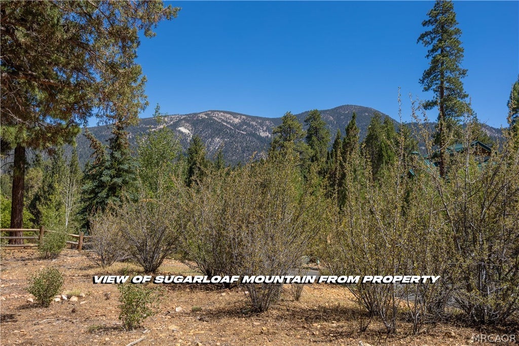 Photo of 660 Cedar Glen Drive, Big Bear City, CA 92314 (MLS # 32601346)