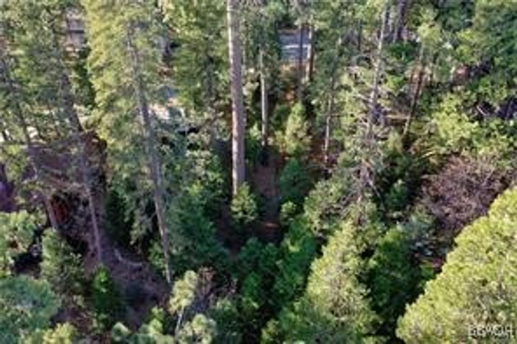 Photo of 131 Fairway Drive, Lake Arrowhead, CA 92352 (MLS # 32501683)