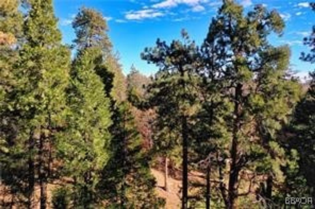 Photo of 131 Fairway Drive, Lake Arrowhead, CA 92352 (MLS # 32501683)