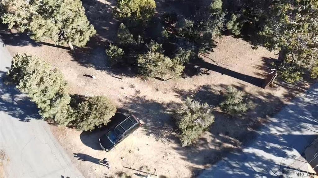 Photo of 0 Pioneer Lane, Big Bear City, CA 92314 (MLS # 32601345)