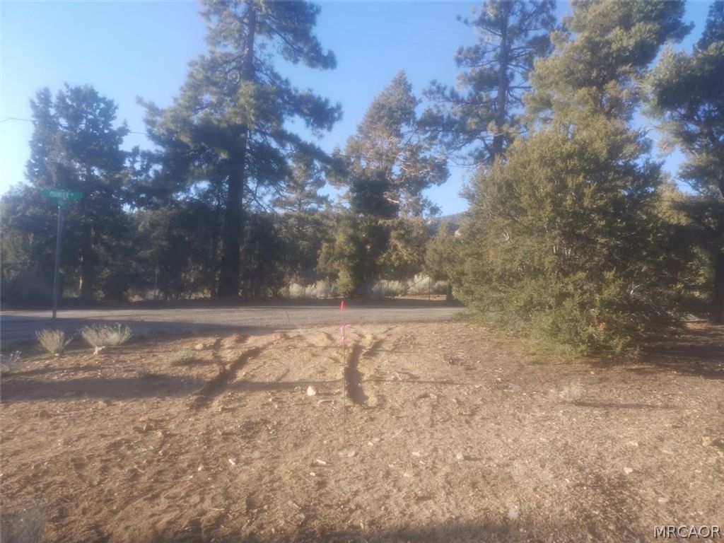 Photo of 0 Pioneer Lane, Big Bear City, CA 92314 (MLS # 32601345)