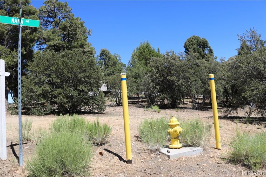 Photo of 0 Pioneer Lane, Big Bear City, CA 92314 (MLS # 32601345)