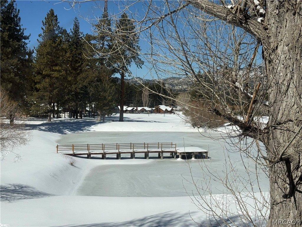 Photo of 43067 Goldmine Woods Lane #0, Big Bear Lake, CA 92315 (MLS # 32600147)