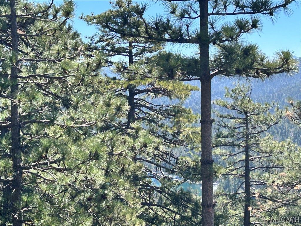 Photo of 221 Grizzly Road, Lake Arrowhead, CA 92317 (MLS # 32502517)