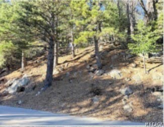 Photo of 0 Thunderbird Drive, Cedar Glen, CA 92352 (MLS # 32601719)