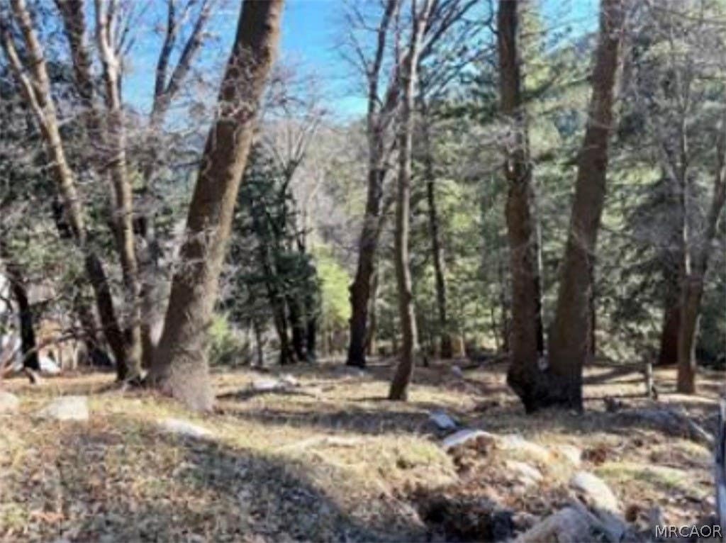 Photo of 0 Thunderbird Drive, Cedar Glen, CA 92352 (MLS # 32601719)