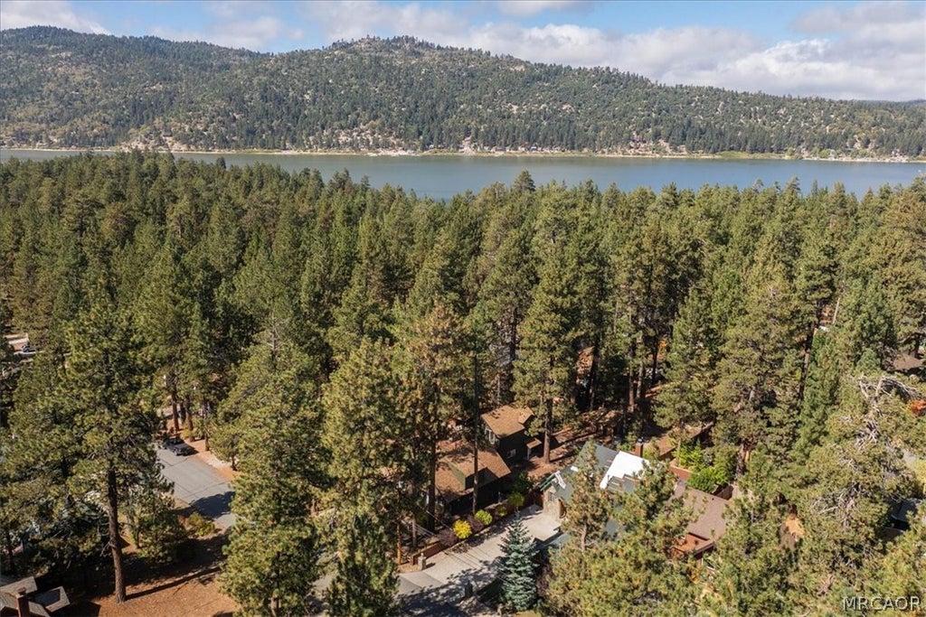 Photo of 39196 Starview Lane, Big Bear Lake, CA 92315 (MLS # 32602321)